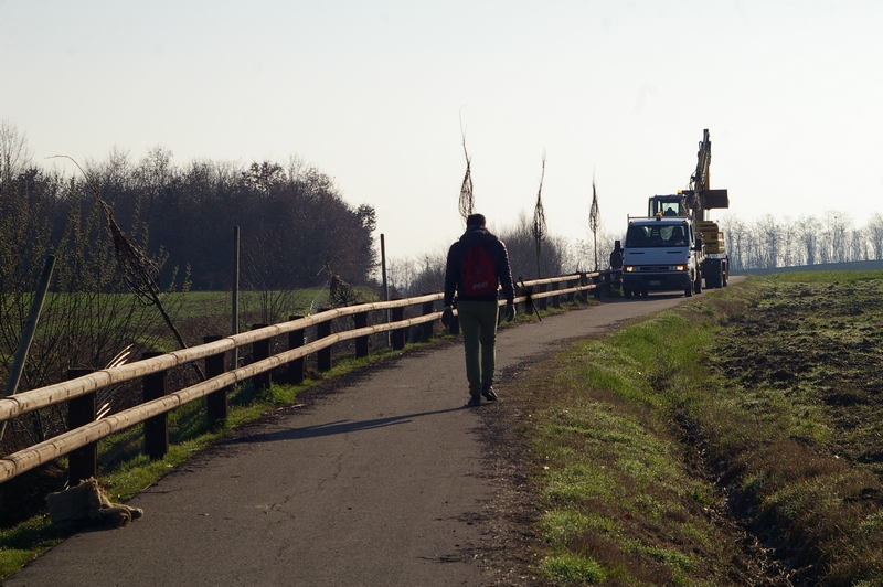 Completamento delle operazioni di disposizione delle piante lungo la pista ciclabile di Villanova d Asti.