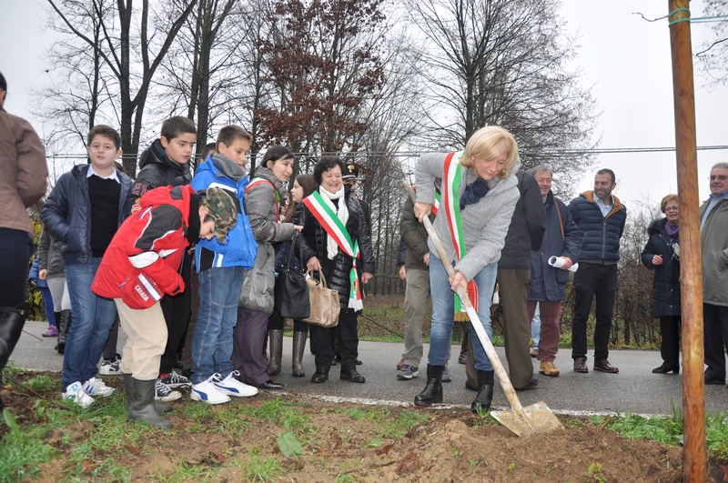 Gesto simbolico di scavo di una buca per la piantagione di un nuovo tiglio del viale alberato storico da parte dell Assessore Maria Molino in Bechis all Istruzione e alla Cultura del Comune di Castelnuovo Don Bosco.