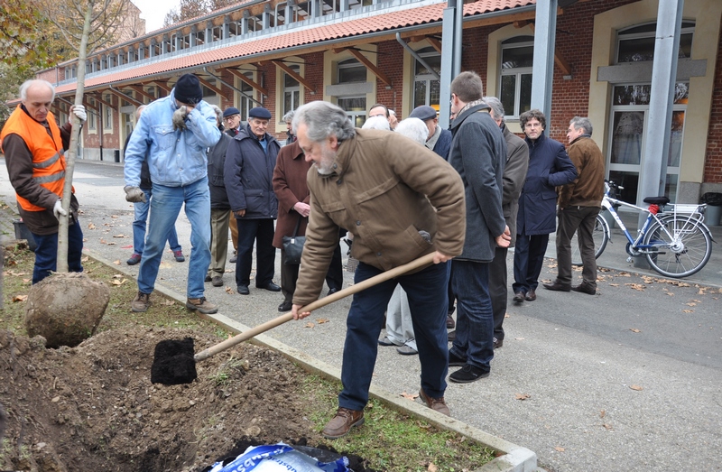 Avvio delle operazioni di messa a dimora dell albero alla memoria dell Ing. Giuseppe Ratti  con un contributo da parte di Giancarlo Dapavo (Circolo Gaia Legambiente Asti) [Foto di Aurelia Brignolo].