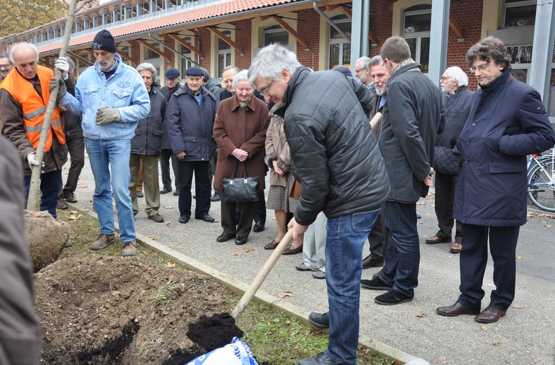 Avvio delle operazioni di messa a dimora dell albero alla memoria dell Ing. Giuseppe Ratti con un contributo da parte di Angelo Porta (Circolo Legambiente Valtriversa) [Foto di Aurelia Brignolo].