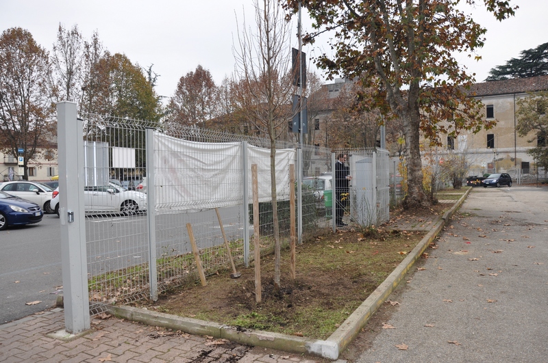 Veduta al termine delle operazioni di piantagione del tiglio (Tilia cordata)  in memoria dell Ing. Giuseppe Ratti, all ingresso dell Università di Asti. 