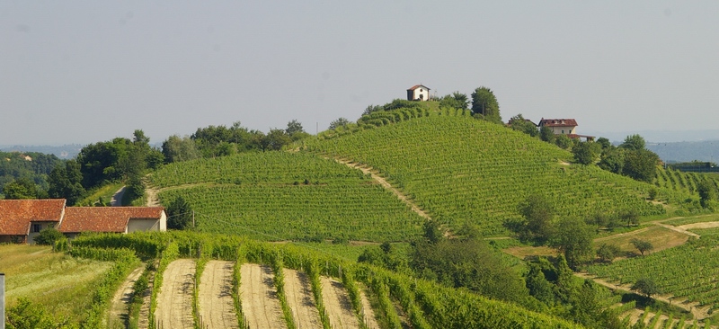 Veduta dello straordinario paesaggio agrario del nord Astigiano, caratterizzato da vigneti, cascine agricole e chiese romaniche. Nell'immagine, alla sommità del colle, si staglia la Chiesa romanica di Santa Maria di Cornareto nel territorio comunale di Castelnuovo Don Bosco.