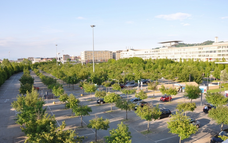 Veduta del pregevole esempio di parcheggio alberato, funzionale al Centro fieristico del Lingotto, sede del Salone del Libro di Torino.