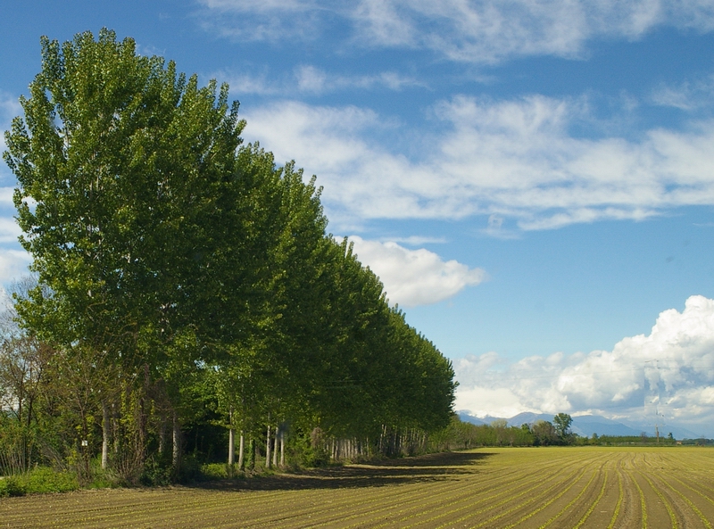 La terra dei campi: un bene da preservare con scrupolo, come risorsa preziosa per le generazioni future.