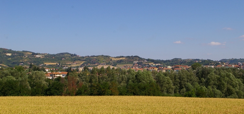 Veduta del pregevolissimo paesaggio agrario circostante la città di Acqui Terme.
