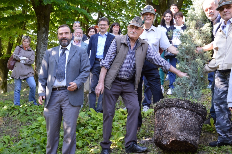 Messa a dimora presso il Parco della Rimembranza dell ALBERO DEL RICORDO in onore ai Caduti della I Guerra Mondiale.