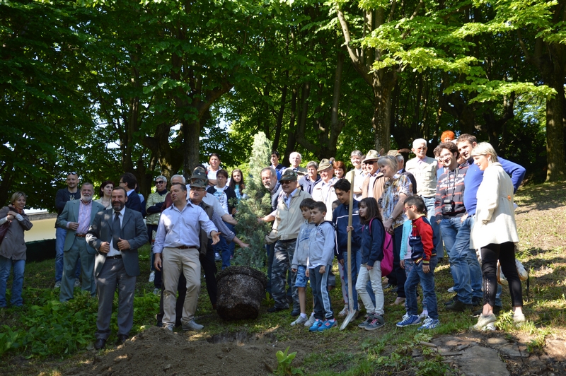 Messa a dimora presso il Parco della Rimembranza dell ALBERO DEL RICORDO in onore ai Caduti della I Guerra Mondiale.