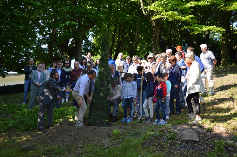 Messa a dimora presso il Parco della Rimembranza dell ALBERO DEL RICORDO in onore ai Caduti della I Guerra Mondiale.