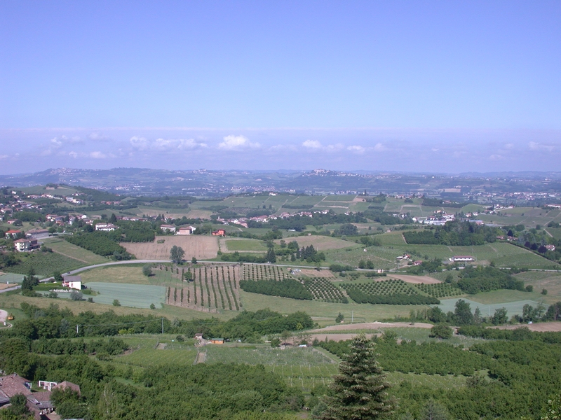 Veduta dello straordinario paesaggio agrario di Castagnole Lanze.