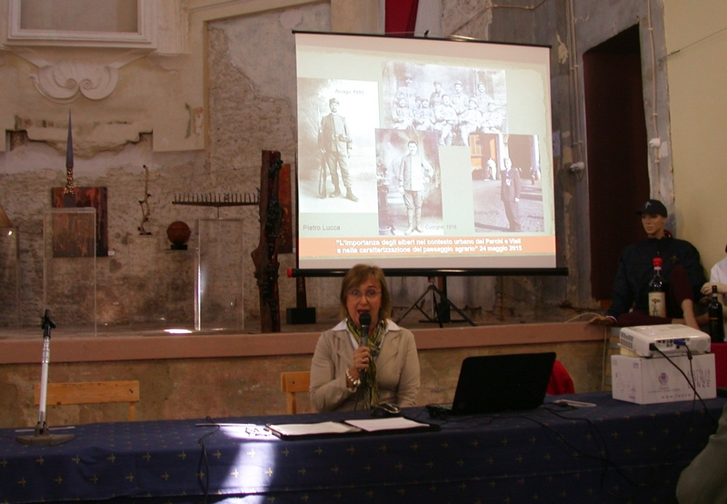 Relazione di Cristina Lucca (Soprintendenza Belle Arti e Paesaggio) su "L importanza degli alberi nel contesto urbano dei Parchi e Viali e nella caratterizzazione del paesaggio agrario".