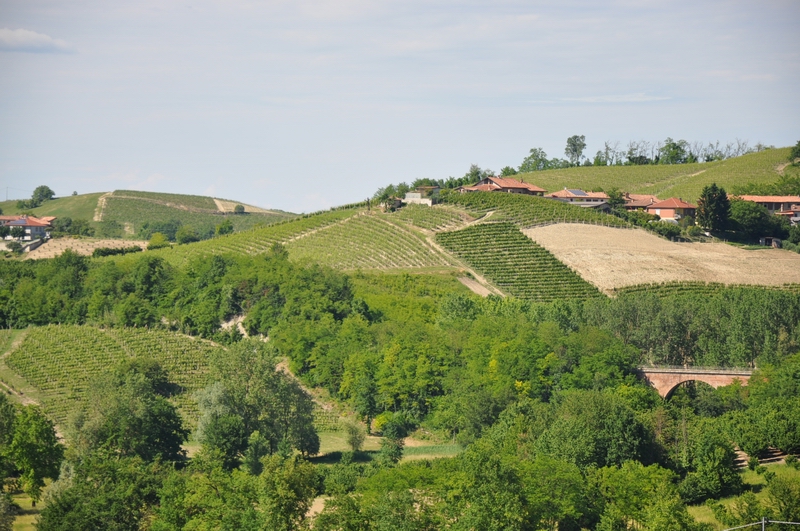 Veduta dello straordinario paesaggio agrario di Castagnole delle Lanze