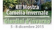 Mostra della Camelia invernale e Giardini d'inverno a Verbania (5 - 8 dicembre 2015).