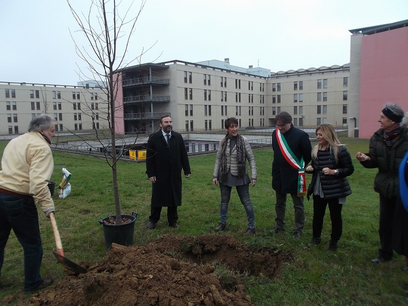 Piantagione di un tiglio da parte dell Assessore all Ambiente Maria Bagnadentro del Comune di Asti [Foto di Fabrizio Aimar].