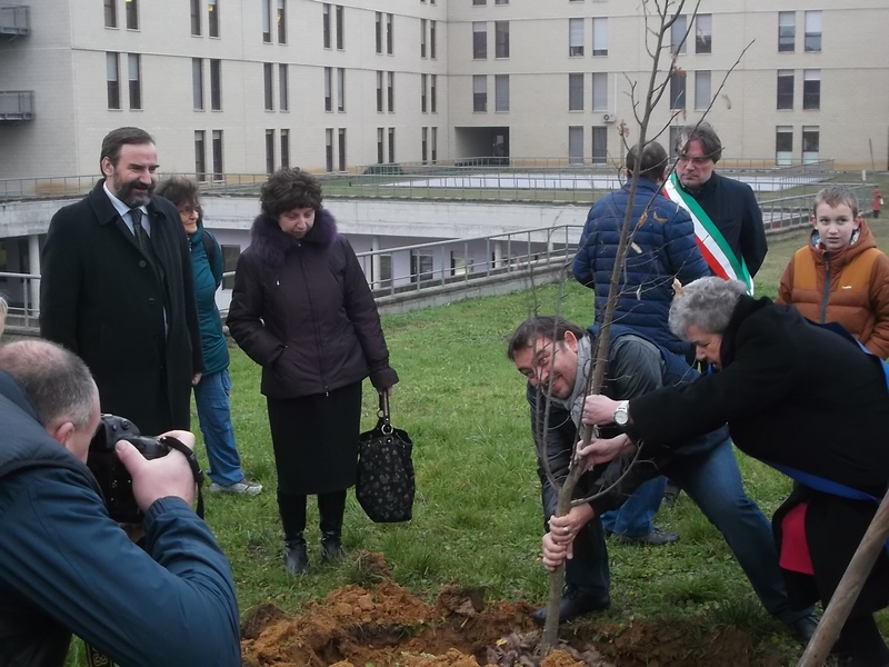 Piantagione di un tiglio da parte della Consigliera Angela Quaglia della Provincia di Asti [Foto di Fabrizio Aimar].