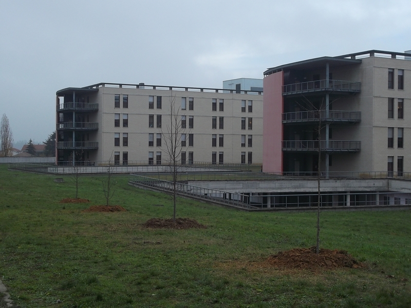 Veduta d insieme dei Tigli al termine delle operazioni di messa a dimora nel Parco dell Ospedale Cardinal Massaia di Asti [Foto di Fabrizio Aimar].