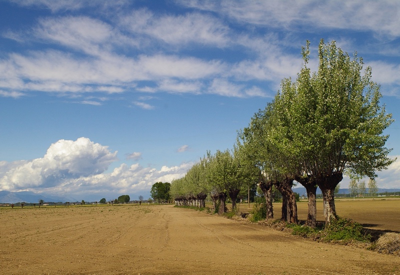 Prezioso terreno agrario da custodire, pronto per le semine primaverili.