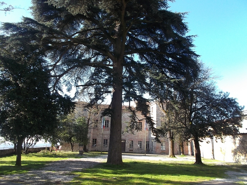 Veduta di Palazzo Callori a Vignale Monferrato e del pregevolissimo parco storico circostante caratterizzato da esemplari arborei monumentali.