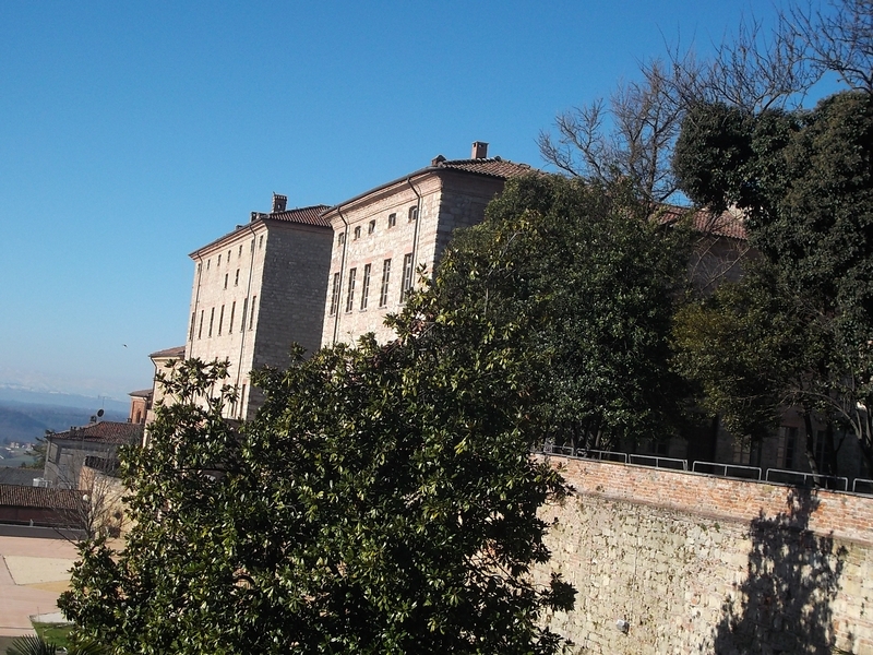 Veduta di Palazzo Callori a Vignale Monferrato e del pregevolissimo parco storico circostante caratterizzato da esemplari arborei monumentali.