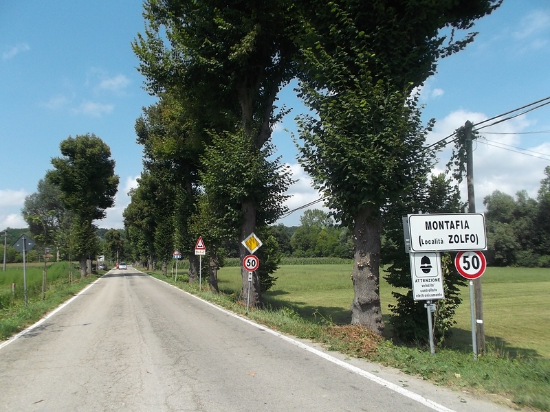 Veduta del Viale storico della Rimembranza dei Caduti della Grande Guerra di Montafia d Asti, riconosciuto dalla Giunta regionale del Piemonte di Notevole interesse pubblico, ai sensi del Codice dei Beni culturali e del Paesaggio.