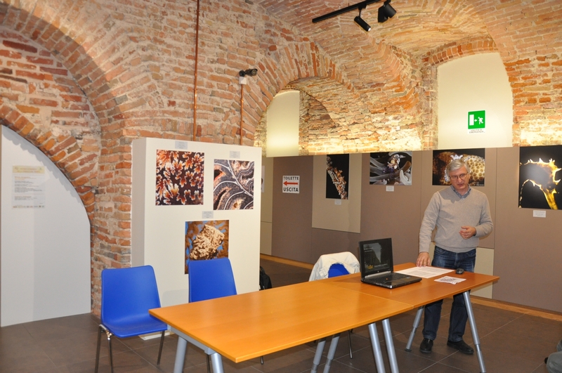 Riflessioni sul tema della Giornata Europea delle Alberate da parte di Angelo Porta (Presidente del Circolo Legambiente Valtriversa) [Foto di Mirella Zitti].