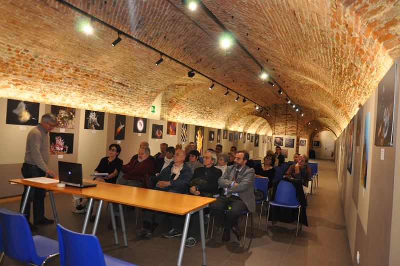 Riflessioni sul tema della Giornata Europea delle Alberate da parte di Angelo Porta (Presidente del Circolo Legambiente Valtriversa) [Foto di Mirella Zitti].