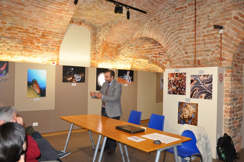 Riflessioni sul tema della Giornata Europea delle Alberate da parte di Marco Devecchi (Presidente dell Osservatorio del Paesaggio per il Monferrato e l Astigiano) [Foto di Mirella Zitti].