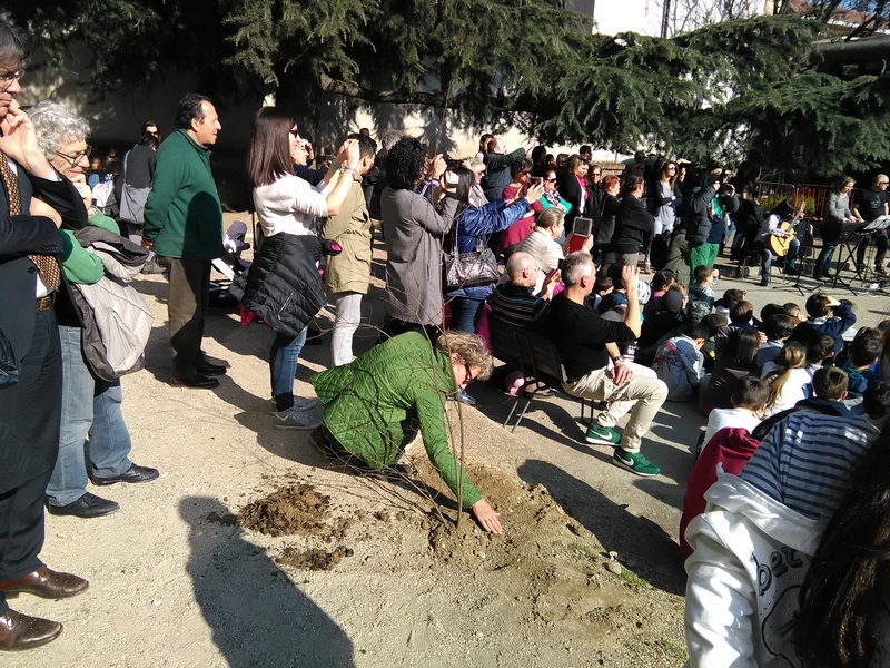 Albero messo a dimora con l aiuto dei bambini e di Lorenza Zambon (Attrice della Casa degli Alfieri).