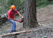 Corsi per operatore su "Gestione forestale - Abbattimento e Allestimento" e "Ingegneria naturalistica"