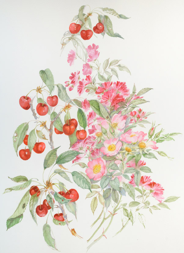 Bellissimi acquerelli a tema floreale dell'artista Gianna Tuninetti.