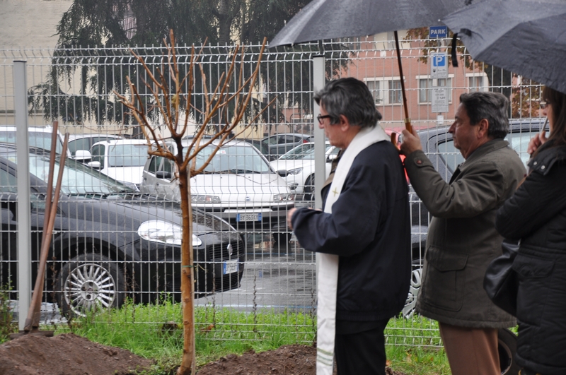 Benedizione da parte di Mons. Vittorio Croce dell albero di gelso piantato in memoria del Prof. Renato Bordone [Foto di fabrizio Aimar].