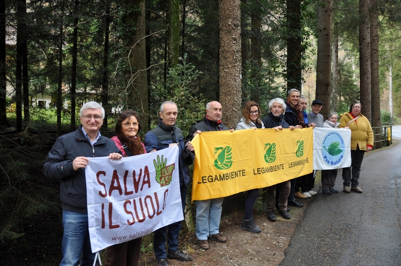 Momento della visita guidata allo straordinario patrimonio arboreo della Vallaccia di Varallo Sesia.