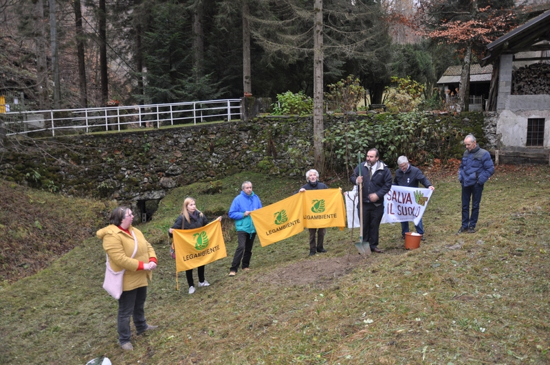 Esecuzione delle operazioni di piantagione di un Melo di una cultivar antica tradizionale per la località Vallaccia di Varallo Sesia, in occasione della Giornata Nazionale degli Alberi.