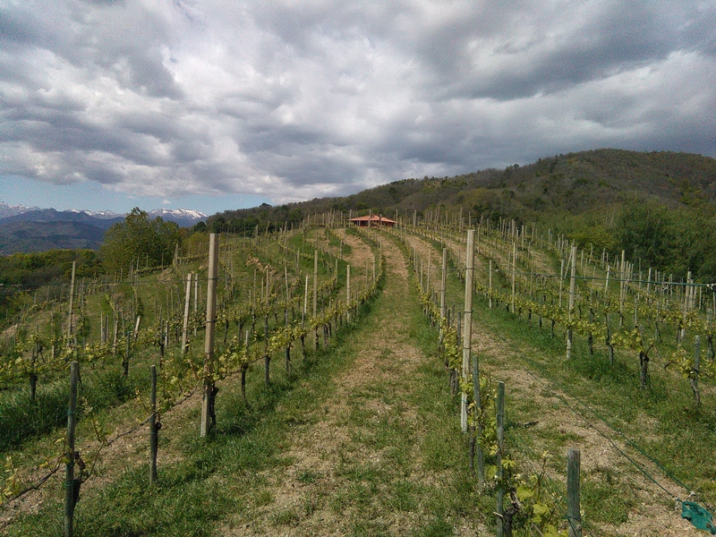 Straordinario paesaggio viticolo storico delle "Terre del Boca", meritevole del riconoscimento nel Registro dei paesaggi rurali storici, istituito presso il Ministero per le politiche agricole.