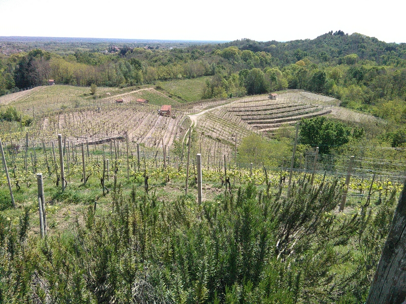 Straordinario paesaggio viticolo storico delle "Terre del Boca", meritevole del riconoscimento nel Registro dei paesaggi rurali storici, istituito presso il Ministero per le politiche agricole.