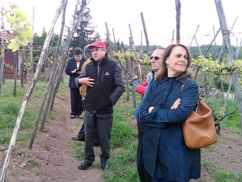 Camminata nei vigneti storici delle Terre del Boca con la Presidente Clio Pescetti del Club per l UNESCO "Terre del Boca".