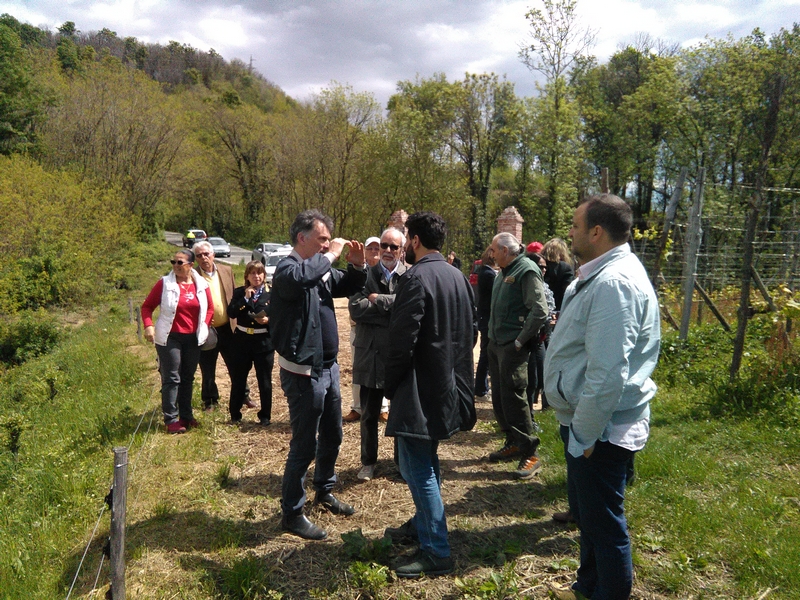 Camminata nei vigneti storici delle Terre del Boca con il Dott. Ermanno De Biaggi e i Sindaci dei comuni interessati al progetto.