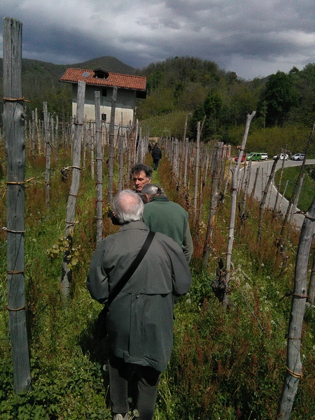 Camminata nei vigneti storici delle Terre del Boca.