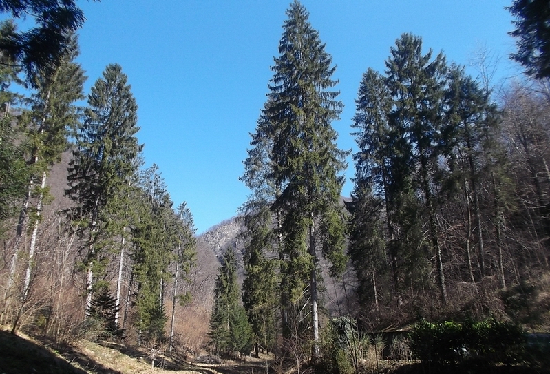 Veduta dello straordinario paesaggio montano della Vallaccia a Varallo Sesia.