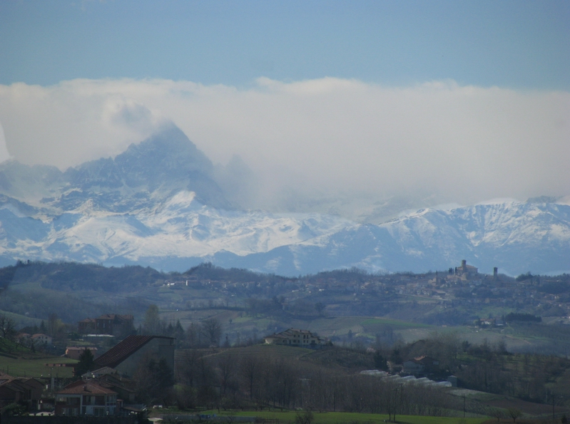 Veduta dello straordinario paesaggio di Antignano con sullo sfondo il Monviso [Foto di Luca Chiusano].