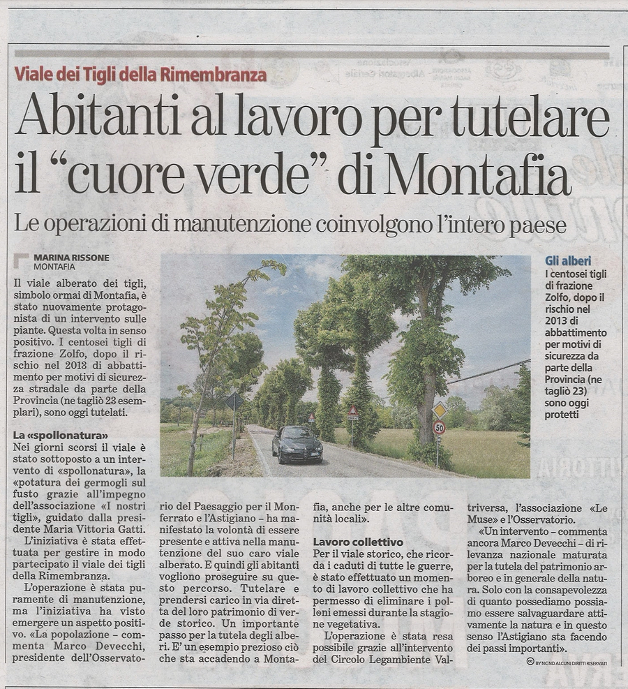 Articolo La Stampa (Mercoledì 3 agosto 2016) sull intervento manutentivo partecipato di Spollonatura del Viale storico della Rimembranza dei Caduti della Grande Guerra di Montafia d Asti. 