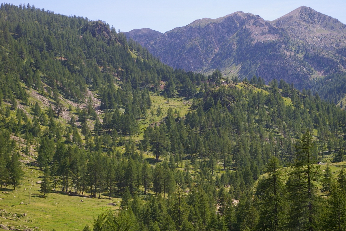 Veduta di uno degli innumerevoli e straordinari paesaggi del Piemonte, oggetto di un nuovo e più efficace strumento di governance e tutela, rappresentato dal nuovo Piano Paesaggistico Regionale PPR. Nell immagine, il paesaggio montano del Colle della Lombarda in provincia di Cuneo.