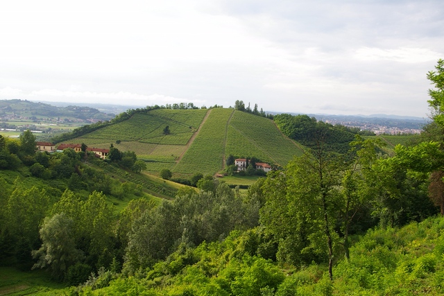 Veduta del paesaggio della Frazione San Marzanotto di Asti, inserito nell ambito di paesaggio più ampio, denominato "Riviera del Tanaro", oggetto dell approvazione all unanimità da parte del Consiglio comunale di Asti della Richiesta di Dichiarazione di notevole interesse pubblico, assieme ai paesaggi delle "Case Grotta" di Mombarone.