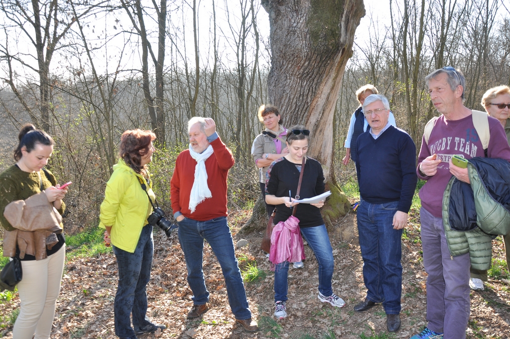 Compilazione da parte di Chiara, assieme a Giancarlo Dapavo, Angelo Porta e Gianni Damasio della Scheda per la richiesta di riconoscimento del valore monumentale dell albero ai sensi della Legge 10 del 2013.