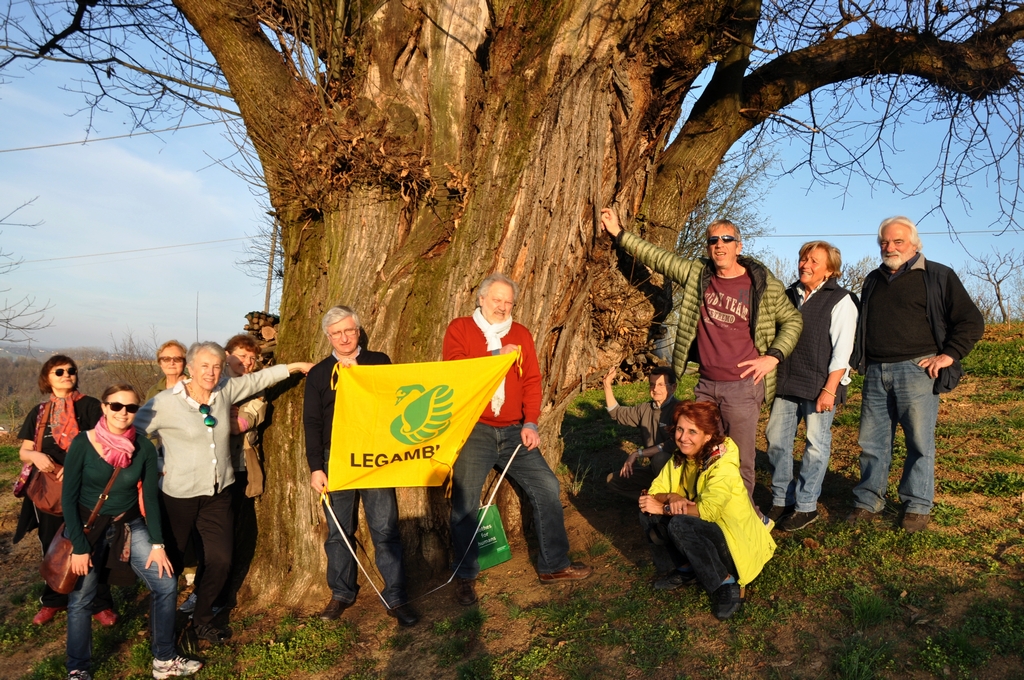 Foto ricordo davanti al plurisecolare castagno di dimensioni eccezionali presente nelle campagne di Ferrere d Asti.