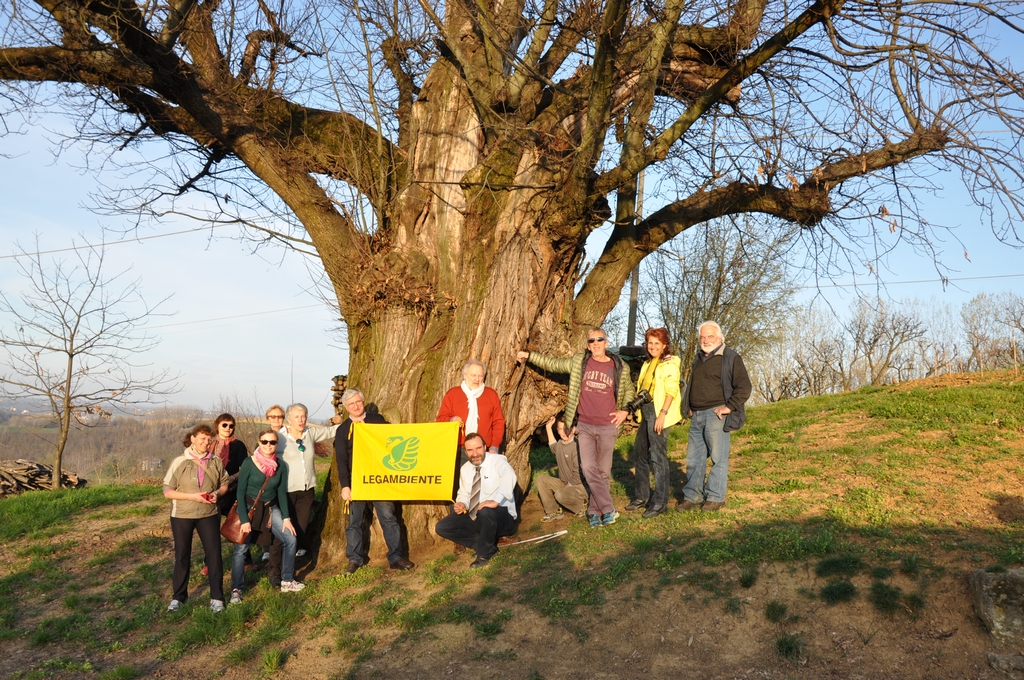 Foto ricordo davanti al plurisecolare castagno di dimensioni eccezionali presente nelle campagne di Ferrere d Asti [Foto di Aurelia Brignolo].