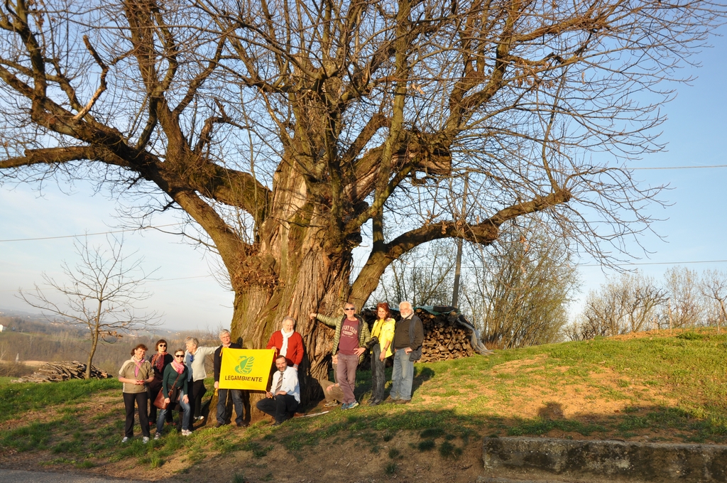 Foto ricordo davanti all eccezionale albero monumentale di Castagno di Ferrere d Asti di cui verrà richiesto il riconoscimento come albero monumentale ai sensi della Legge 10 del 2013.