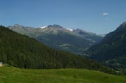 Convegno su "Pianificazione e paesaggio agroforestale: Le novità del PPR e approcci di analisi territoriale", presso il Campus di Grugliasco, DISAFA, Aula C, venerdì 12 maggio 2017, ore 9.00.