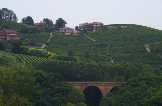 Veduta dello straordinario paesaggio viticolo del comune di Castagnole delle Lanze, dove si è tenuto lo spettacolo teatrale "Il folle volo", nell ambito della Rassegna "Paesaggi e oltre", sotto la Direzione del Teatro degli Acerbi.