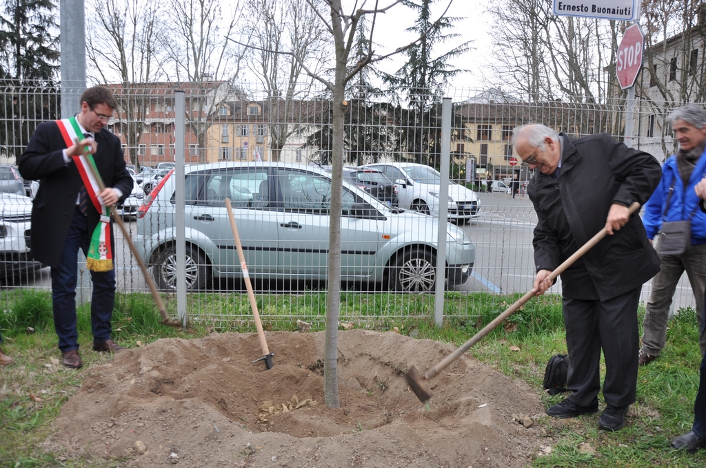 Contributo alla messa a dimora del tiglio a memoria del Prof. Paolo De Benedetti da parte del Vice Sindaco di Asti, Avv. Davide Arri, e del Prof. Roberto Jona [Foto di Gilberto Berlinghieri].