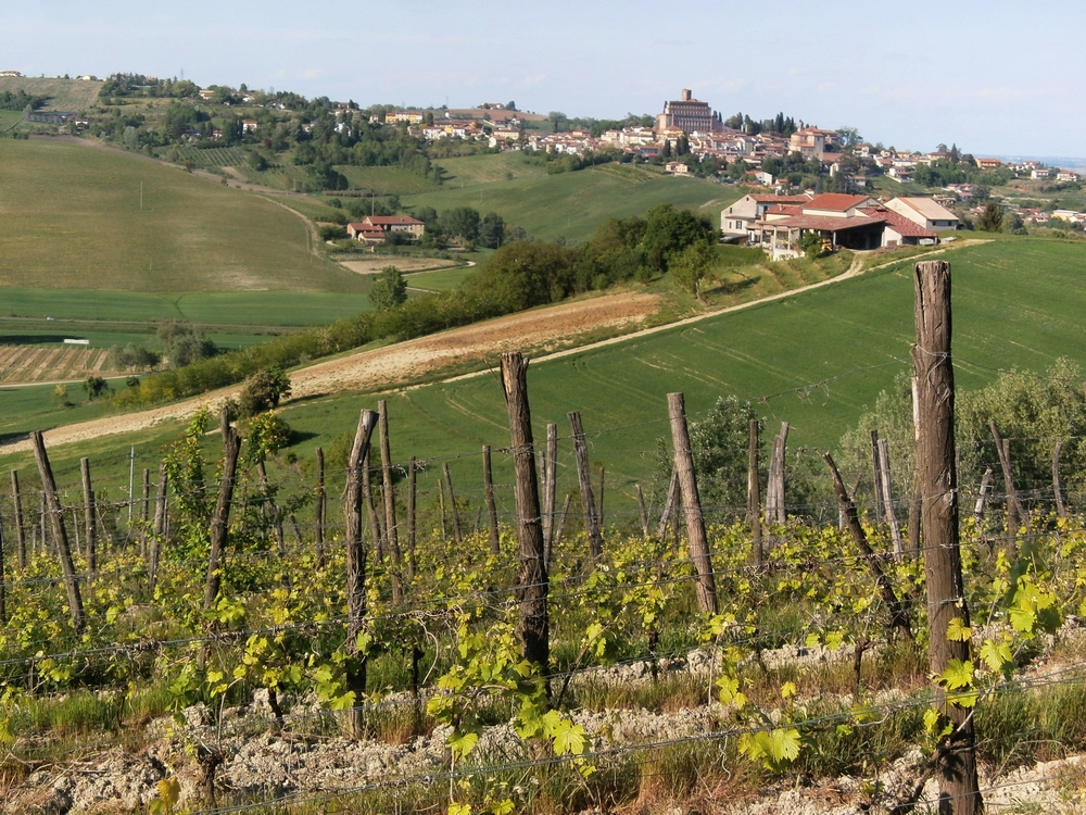 Veduta dello straordinario paesaggio agrario di San Giorgio Monferrato e del Casalese, attraversato dalla Linea ferroviaria Asti-Casale, al momento non in uso.